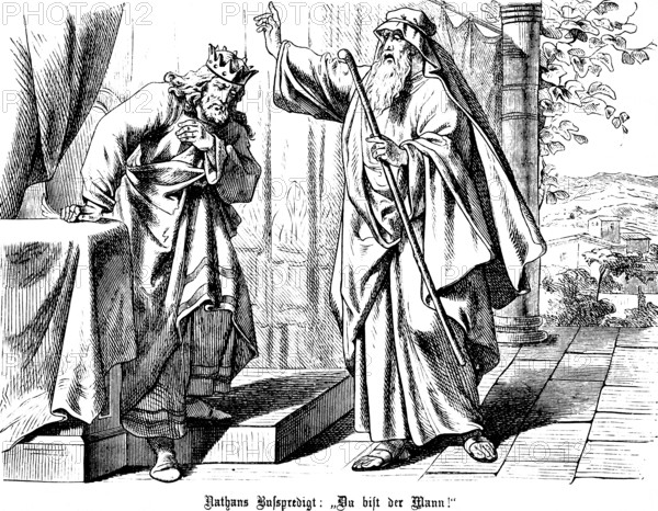 Nathan's repentance and repentance, you are the man, repentance, sermon, David, sin, confession, God, crown, landscape, staff, Second Book of Samuel, chapter 7, Old Testament, Bible, historical illustration 1877