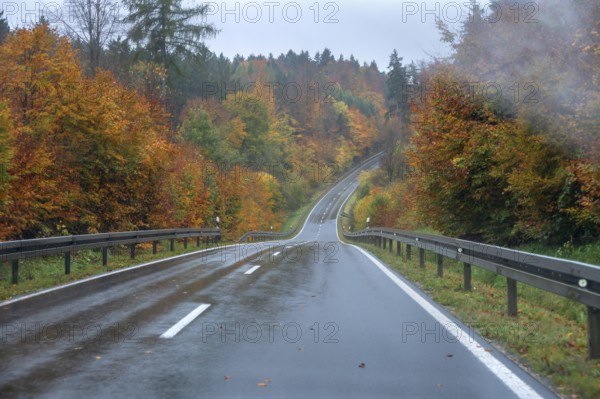 Mixed forest in autumn colors in Franconia on the B2 Nuremberg-Bayreuth, Upper Franconia, Bavaria, Germany