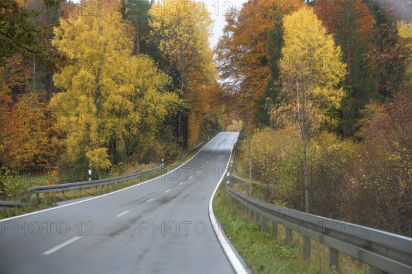 Mixed forest in autumn colors in Franconia on the B2 Nuremberg-Bayreuth, Upper Franconia, Bavaria, Germany