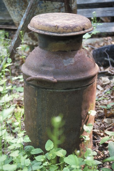 Rusted American milk can around 1900, deposited in a wooded area, Marksboro, New Jersey, USA