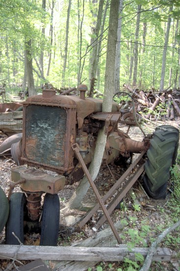 Rusted American Allis-Chalmers tractor around 1900, crossed by a tree, dumped in a wooded area, Marksboro, New Jersey, USA