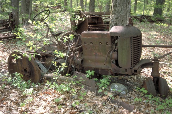 Rusted American tractor around 1900, crossed by a tree, dumped in a wooded area, Marksboro, New Jersey, USA
