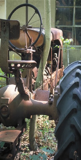 Tree grows due to a rusted tractor in a car cemetery in a forest, Marksboro, New Jersey, USA