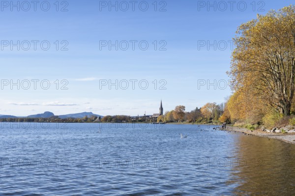 Gravel shore, Lake Constance shore at Mettnaupark near Radolfzell am Lake Constance, surrounded by autumn vegetation, Radolfzell Münster and the Hegauberge Mountains with the Hohentwiel and Hohenstoffeln, Konstanz district, Baden-Württemberg, Germany