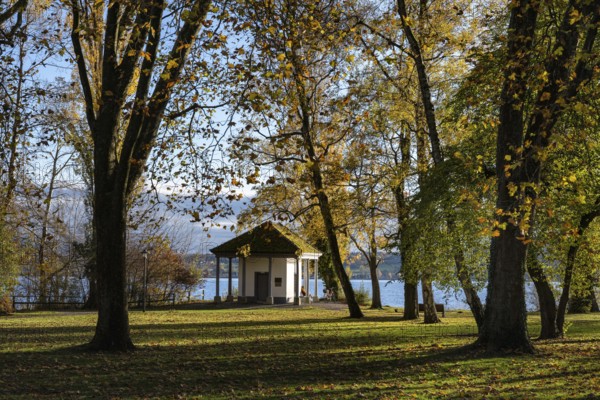 The Mettnaupark, surrounded by autumn vegetation, with the certificate house on the banks of Lake Constance, Mettnau peninsula, Radolfzell am Lake Constance, district of Konstanz, Baden-Württemberg, Germany