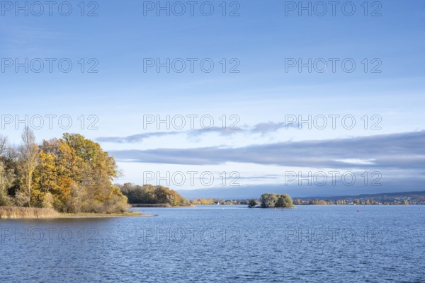 View of Lake Constance with Love Island, surrounded by autumn vegetation, on the horizon the island of Reichenau, Mettnau peninsula, Radolfzell am Lake Constance, district of Konstanz, Baden-Württemberg, Germany