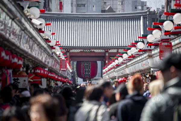View of numerous visitors on Nakamise-dori shopping street at the Thunder Gate Kaminarimon of Asakusa Shrine or Senso-ji Temple, blooming cherry trees, Buddhist temple complex, Asakusa, Tokyo, Japan