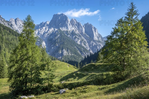 View from Bindalm to the peaks of the Reither Alm with Stadelhorn and Mühlsturzhorn, Berchtesgaden National Park, Bavarian Alps, Germany