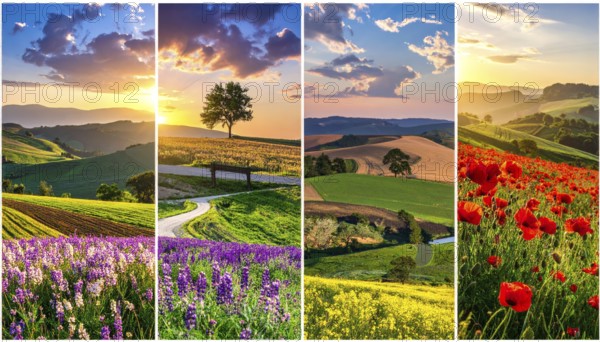 Collage of spring and summer landscapes, blooming flowers, green meadows and trees, hilly landscape with mountains, blue cloudy sky with sunrise or sunset, wallpaper illustration for banner or template background, AI generated