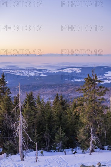 View from Mount Lusen over the hills of the bavarian forest at sunrise in winter, Bavaria, Germany