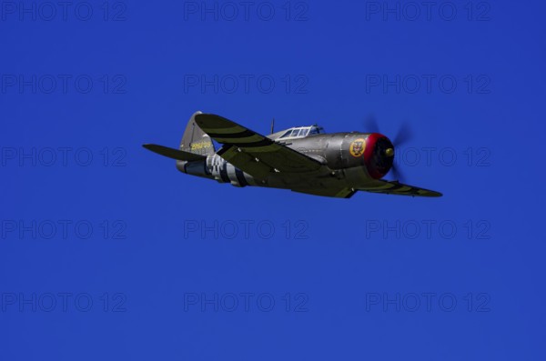 An RC model of a Republic P-47 Thunderbolt during a demonstration as part of an air show at the Fliegerbergfest of the Rossfeld Luftsportverein in Metzingen-Glems, Baden-Württemberg, Germany, for editorial use only