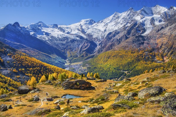 View from Kreuzboden to Saas-Fee with Alalin 4027m, Alphubel 4206m and Mischabel Group 4545m in autumn, Saas-Grund, Saasertal, Valais, Switzerland