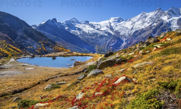 Kreuzbodensee with Alalin 4027 m, Alphubel 420 6 m and Mischabel Group 4545 m in autumn, Saas-Grund, Saasertal, Valais, Switzerland