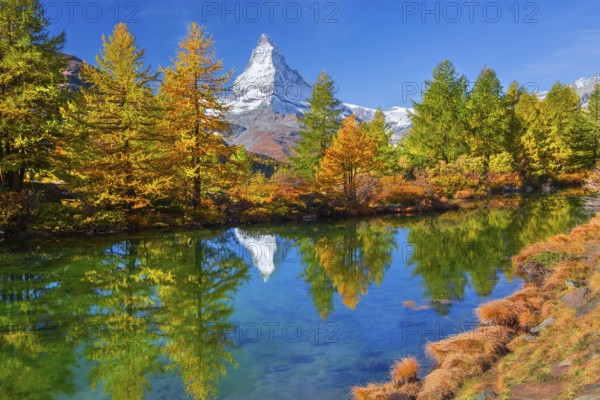 Matterhorn 4478 m with reflection in Lake Grindji in autumn, Zermatt, Mattertal, Valais, Switzerland