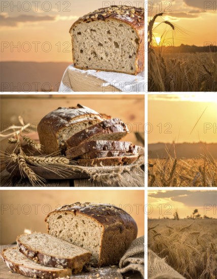 Collage of rustic loaf of whole grain bread, bread on dark rustic wooden table, great variety of grain and whole wheat bread, illustration wallpaper for bakery and healthy food lifestyle, AI generated