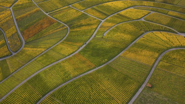 Golden sunset over the glowing autumnal vineyards on the Kappelberg between Fellbach and Stuttgart. Aerial view of the wine trail