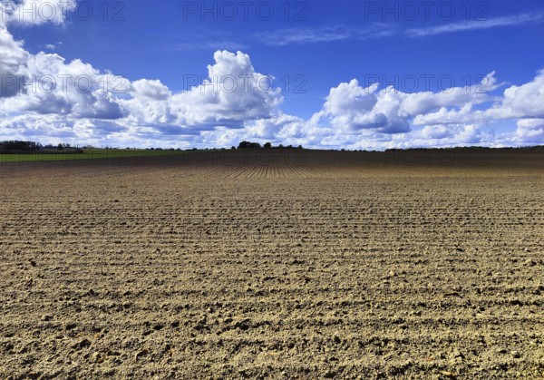Cultural landscape, Sonnenberg municipality, Oberhavel district, Brandenburg, Germany