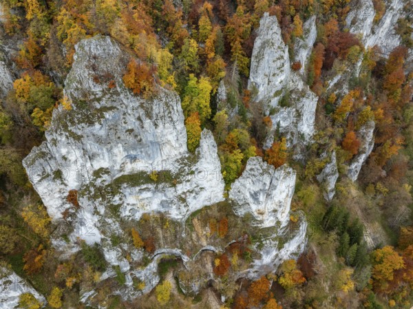 Aerial view, top down view of distinctive rock towers, Weissjura, Jurassic limestone cliffs, limestone rocks, surrounded by autumn vegetation, mixed forest, beech forest, upper Danube valley, Sigmaringen district, Baden-Württemberg, Germany
