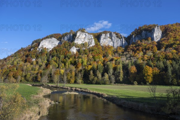 View across the Danube to the distinctive Hausener Zinnen, climbing rocks, Jurassic limestone cliffs, Weissjura, Jura rocks, limestone rocks, surrounded by autumnal vegetation, Hausen im Tal, Upper Danube Valley, Baden-Württemberg, Germany
