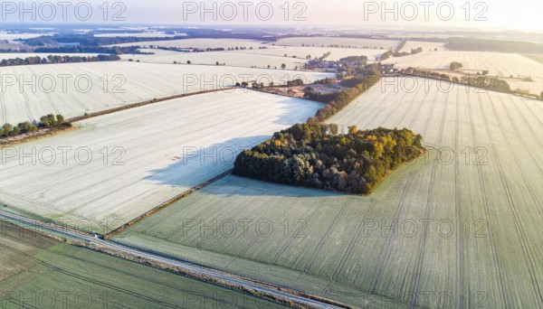 Bird Eye Perspective of Frost Covered Farmland. Seasonal Agricultural Scenery, winter and autumn scene, blue sky with golden light at sunrise, AI generated