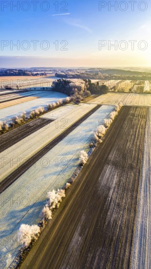 Bird Eye Perspective of Frost Covered Farmland. Seasonal Agricultural Scenery, winter and autumn scene, blue sky with golden light at sunrise, AI generated