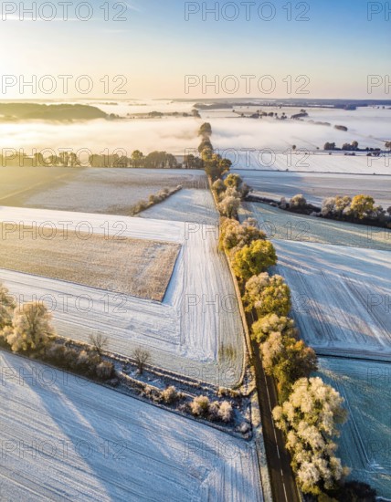 Bird Eye Perspective of Frost Covered Farmland. Seasonal Agricultural Scenery, winter and autumn scene, blue sky with golden light at sunrise, AI generated
