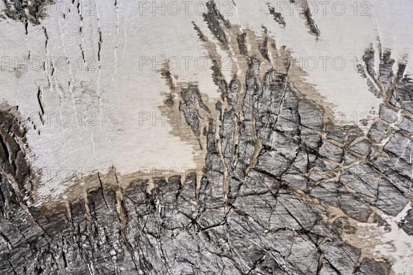 View from the Télécabine Panorama Railway of the glacial crevices of the Glacier du Géant, Chamonix-Mont-Blanc, Haute-Savoie, France