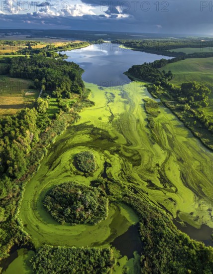 Green algae on the lake. Aerial view of nature, landscape with hills and forest in summer, cloudy sky, golden light at sunset, AI generated