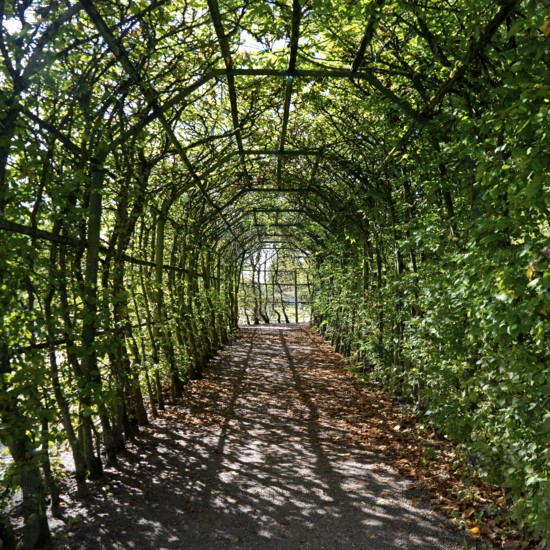 Pergola in Rheinsberg Castle Park, Ruppiner Land, Brandenburg, Germany