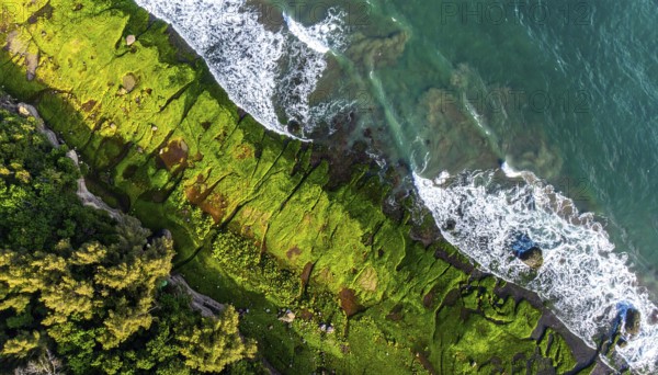 Green algae on the sandy shore of an ocean. Fascinating phenomenon of wild coastline with green plants, white sands, stone, blue water and cliffs, Aerial view of a beautiful abstract unreal and textured landscape, AI generated