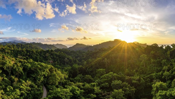 Banner background of tropical forest landscape scene, green wild jungle, cloudy sky at morning, concept and symbol of environmental ecology and sustainable energy, AI generated