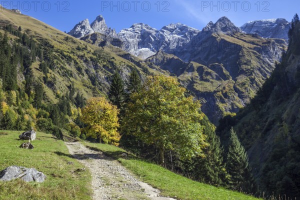 Hiking trail in Bacherloch Valley, back mountains of the Allgäu Alps with Trettachspitze, Mädelegabel and Hochfrottspitze, autumn atmosphere, autumn-colored trees, near Einödsbach, Oberstdorf, Oberallgäu, Allgäu, Bavaria Germany