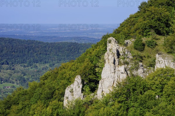 Picturesque scenery on the eaves of the Swabian Jura near Olgafels on Rossfeld in Metzingen-Glems, Baden-Württemberg, Germany