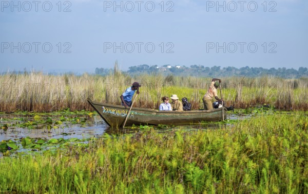 Boat with tourists in Mabamba Swamp, Tourists, Mabamba Swamp, Lake Victoria, Uganda