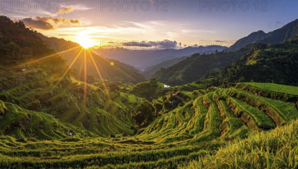 Early morning light bathes Philippines rice terraces cascading down mountain slopes, beautiful golden light, AI generated