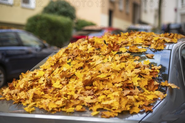 A car is covered with a thick layer of autumn leaves in autumn, Wuppertal, Germany