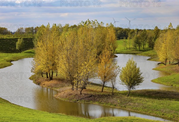 Wesel, Lower Rhine, North Rhine-Westphalia, Germany - autumn on the Lippe, trees with colorful autumn leaves in the restored river floodplain area of Büdericher Insel above the mouth of the Lippe into the Rhine, Lippe estuary nature reserve