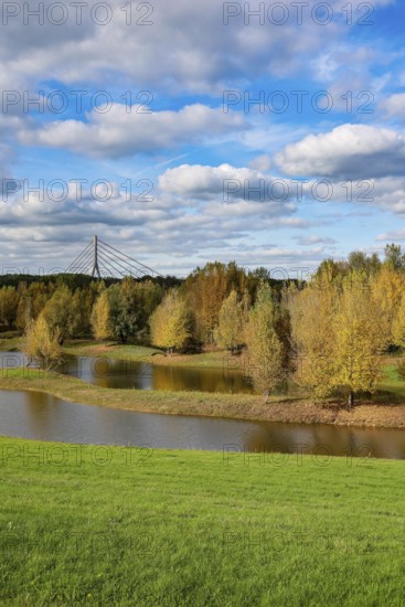 Wesel, Lower Rhine, North Rhine-Westphalia, Germany - autumn on the Lippe, trees with colorful autumn leaves in the restored river floodplain area of Büdericher Insel above the mouth of the Lippe into the Rhine, Lippe estuary nature reserve, in the back the Lower Rhine bridge Wesel