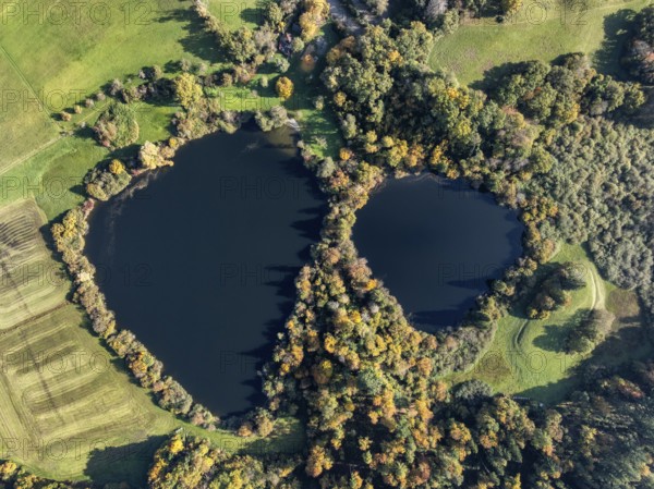 Aerial view of Lake Beech including Güttinger See, a swimming lake near Radolfzell am Lake Constance, on the horizon the Hegauberge Mountains, district of Constance, Baden-Württemberg, Germany