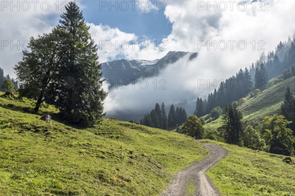 Hiking trail in the Dietersbachtal from Gerstruben to Alpe Dietersbach, Nebelschwanden hang in the valley, Oberstdorf, Allgäu Alps, Oberallgäu, Bavaria, Germany