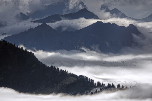 View from the Nebelhorn summit to mountains of the Allgäu Alps, mountains rising from fog in the valley, Oberstdorf, Oberallgäu, Allgäu, Bavaria, Germany