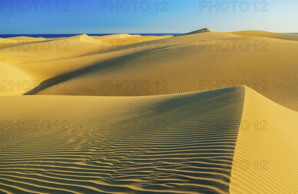 Sand dunes, Maspalomas, Playa del Ingles, Gran Canaria, Canary Islands, Spain