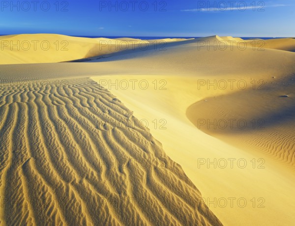 Sand dunes, Maspalomas, Playa del Ingles, Gran Canaria, Canary Islands, Spain