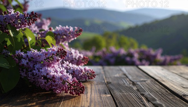 Beautiful Spring Lilacs Bloom Over Wooden Table with Rolling Hills in Background, sunrise at horizon, AI generated