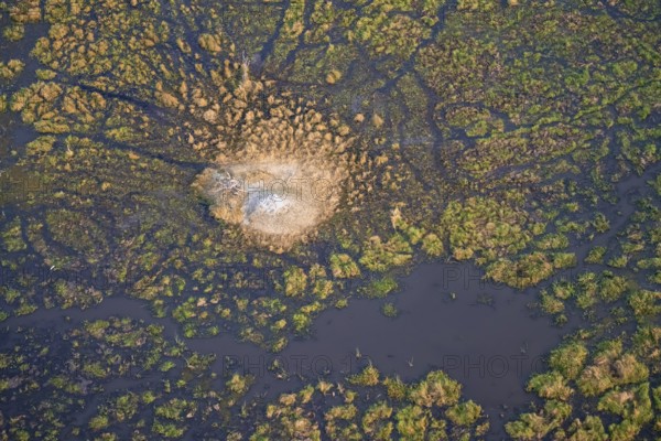 Freshwater marshland, swamp landscape with small island with termite hill, aerial view, Okavango Delta, Botswana