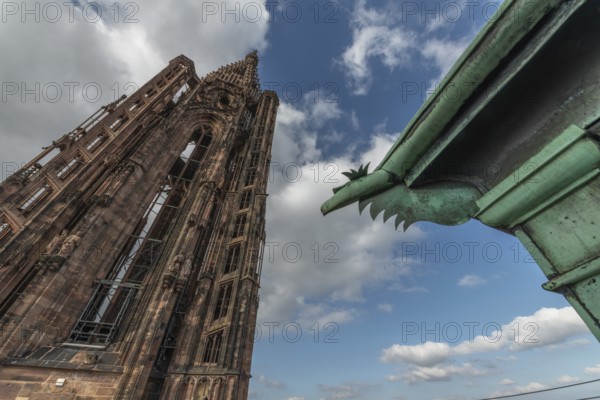 Strasbourg's Gothic cathedral stands majestically under a cloudy sky. In the background is an ornate and detailed iron gargoyle, which gives the scene a unique charm. Bas Rhin, Alsace, France