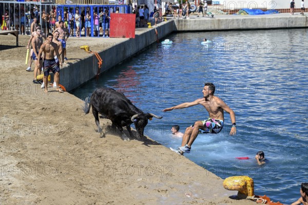 Bous a la Mar Fair, in English Bulls in the Sea, Bullfighting, Javea or Xàbia, Alicante Province, Comunidad Valenciana, Spain