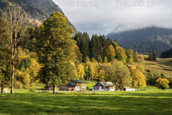 Autumn atmosphere, autumn-colored trees with agricultural estate, Oberstdorf, Oberallgäu, Allgäu, Bavaria, Germany