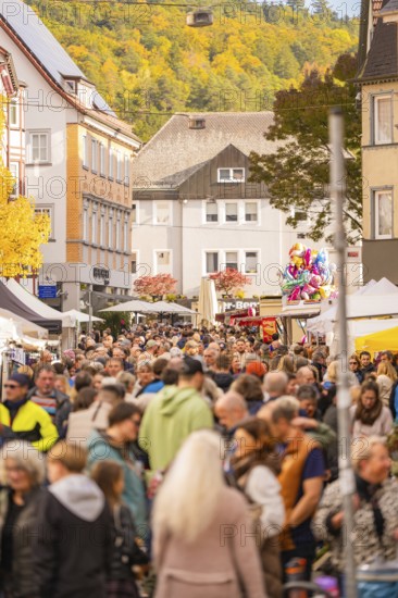Busy shopping street in autumn, people strolling between modern buildings and colorful shops, Urschelherbst street festival, Nagold, Germany