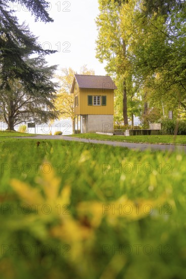 Small yellow house in a meadow surrounded by trees in autumn colors, Überlingen, Lake Constance, Germany